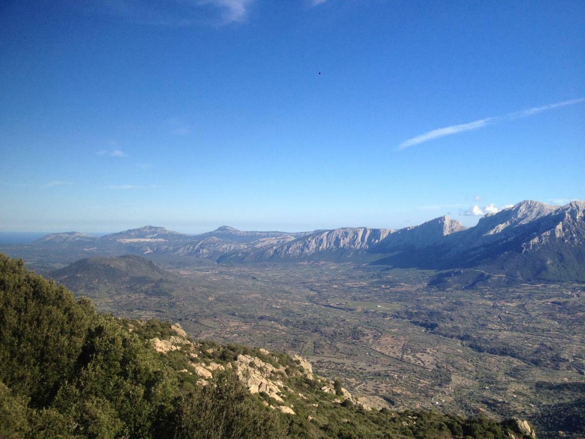 La Corte Di Grazia_Iun P2039/40 Nuoro Kültér fotó